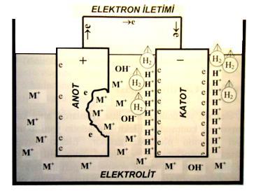 3.2.2 Elektrokimyasal korozyon Elektrokimyasal korozyon, birbiri ile elektriksel ve elektrolitik teması olan ve aralarında potansiyel fark oluşan iki metalik bölge arasında meydana gelmektedir.