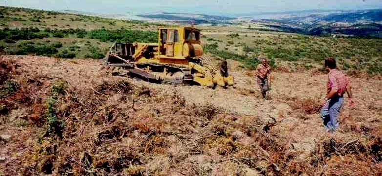 Kastamonu Ağaçlandırma Alanları arazi hazırlığı Makineli diri örtü temizliğinde yamacın alt tarafındaki şeritten başlayıp yukarıdaki şeritlere geçerek çalışmak