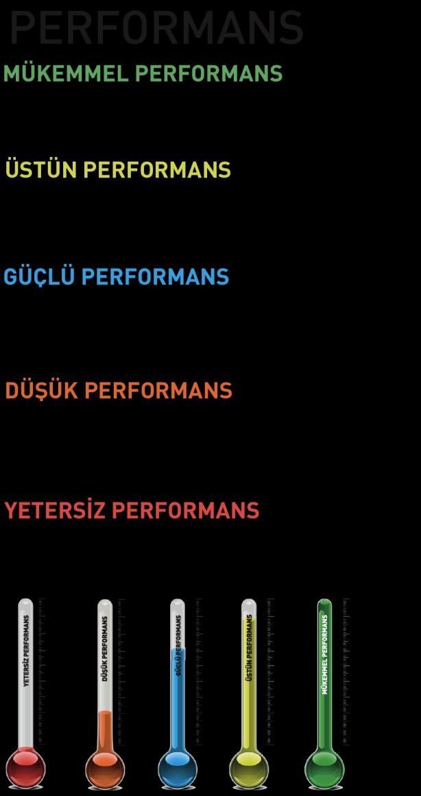 PERFORMANS GÖRÜŞMELERİ Hedeflerinizin Ulkar Nobel başarısına nasıl