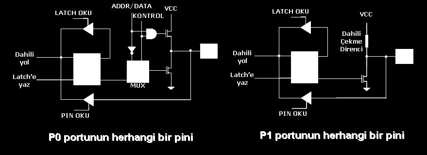 Yapısı