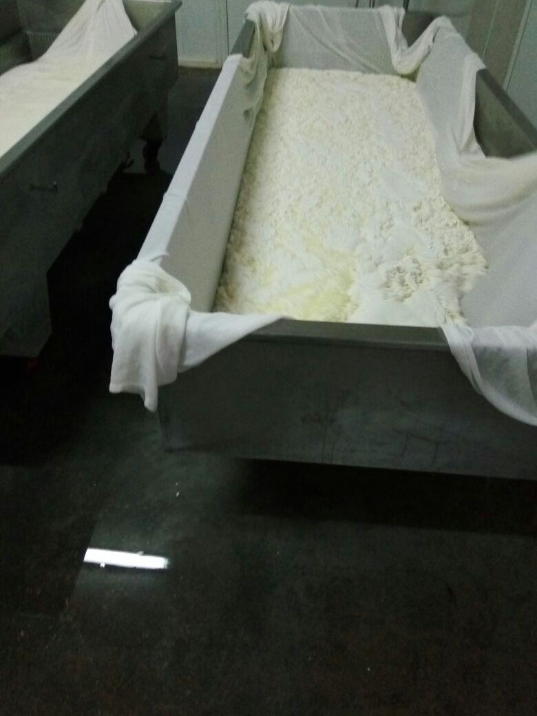 4. GÜN (Beyaz peynir yapım aşaması) BEYAZ PEYNİR ÜRETİMİ Standardize edilen süte 72-75 C de 3-5 dk pastörizasyon işlemi uygulandı.