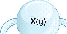 A) Yalnız I B) I ve II C) I ve III D) II ve III E) I, II ve III 14. Şekildeki hareketli pistonlu kapta bir miktar X gazı bulunmaktadır. M X 16.