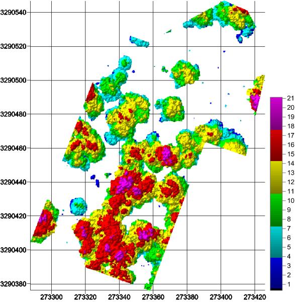 Hava Kaynaklı Lazer Tarama Nokta Bulutları Kullanılarak 3b Meşcere Yükseklik Haritası Üretimi, Houston Örneği programı (NDEP) tarafından belirlenen 1/1000 ölçekli topoğrafik harita üretim