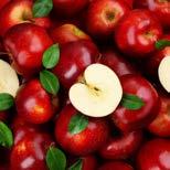 Özellikle sera bitkileri, tarla bitkileri, sebzeler, elma, muz, narenciye, zeytin ve meyve ağaçlarında