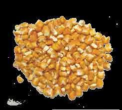 grains de maïs sont utilisés pour distinguer. Res couches de germe de maïs reglé en usine comme on le souhaite.