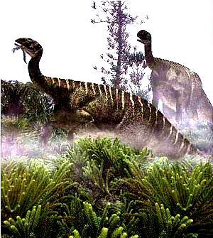 II. Zaman (Mezozoik): 170 Milyon Yıl Dinozorlar çağı 3- Kretase, 2- Jura, 1- Trias Yer kabuğu kırıklarla parçalanarak ayrı kıtalara bölünmeye başlamıştır.