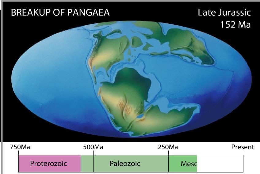 II. Zaman (Mezozoik): 170 Milyon Yıl Dinozorlar çağı 3-Kretase, 2-Jura, 1-Trias Dinozorlar bu devirde