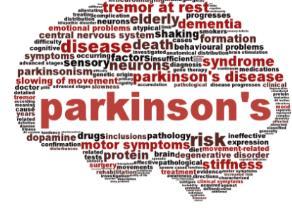 PARKİNSON HASTALIĞINDA KÖK HÜCRE UYGULAMASI Nigrostriatal dopamin içeren nöronlarda hasar ve alfa sinüklein proteini içeren Lewy cisimciklerinin oluşumu ile karakterize Parkinson Hastalğı nda (PH);