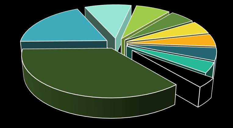 4,0% 11 - Değirmencilik ürünleri, malt, nişasta, inülin, buğday gluteni 17,9% Diğerleri