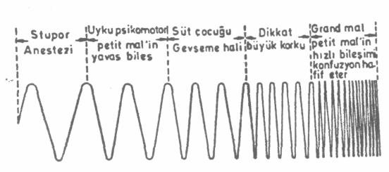 6.5 Şekil (6.3) Aktivite ile EEG temel frekansı arasındaki bağıntı 6.2 ELEKTROENSEFALOGRAM İŞARETLERİNİN ÖLÇÜLMESİ Şekil (6.
