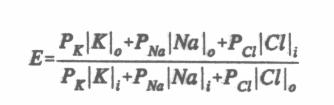 modeli Şekil (2.7)'de gösterilmiştir. Dinlenme durumunda membran potansiyeline katkıda bulunan en önemli iyon potasyum iyonudur ve onun için Nernst denklemi, (2.1) 2.7 yardımıyla bulunur.