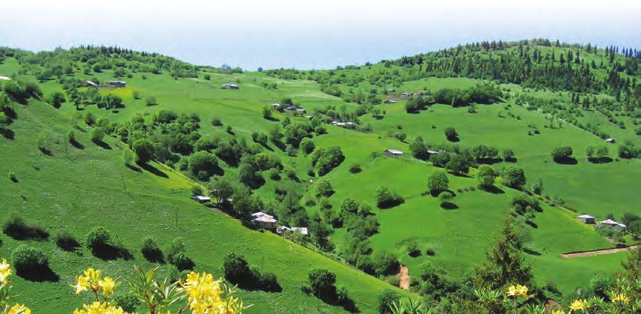 Ede bi ya t na za ri ye ler de il eser ler ya par. Eser ler le te yit ve te spit edil meyen na za ri ye ler bir ku ru laf y n n dan iba ret ka l r.