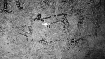 26a: Sandıklı mağara duvarındaki stilize deve, insan, ev ve küçükbaş hayvan resimleri (Foto: Kasım Gümüş). Res. 26b: Küçükbaş hayvanlar ve çobanı (?) (Foto: Kasım Gümüş).