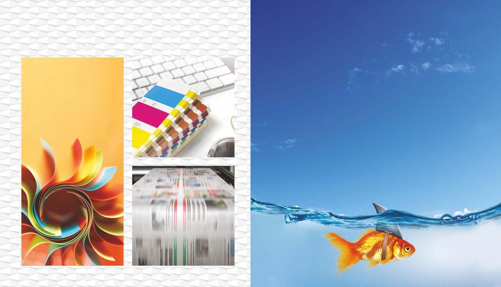 12-13 graphic grafik& design tasarım COLOR CORRECTION Renk Düzenlemesi FLYER DESIGN