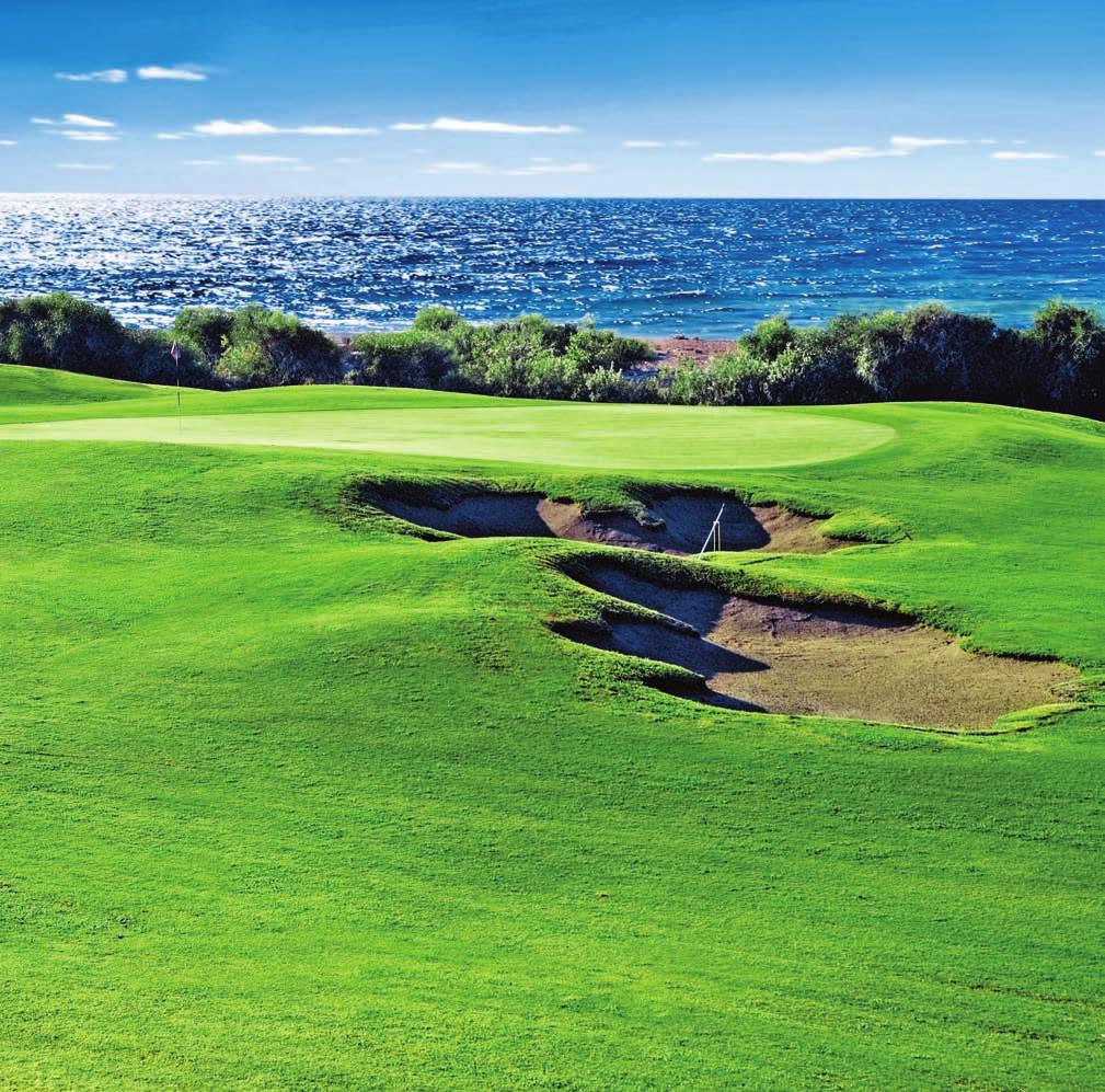 Gloria Golf Club Gloria Golf Club Gloria Golf Club Tasarımı ünlü mimar Michel Gayon tarafından yapılan ve Türkiye nin en büyük golf sahasına sahip olan Gloria Hotels & Resorts, Akdeniz in
