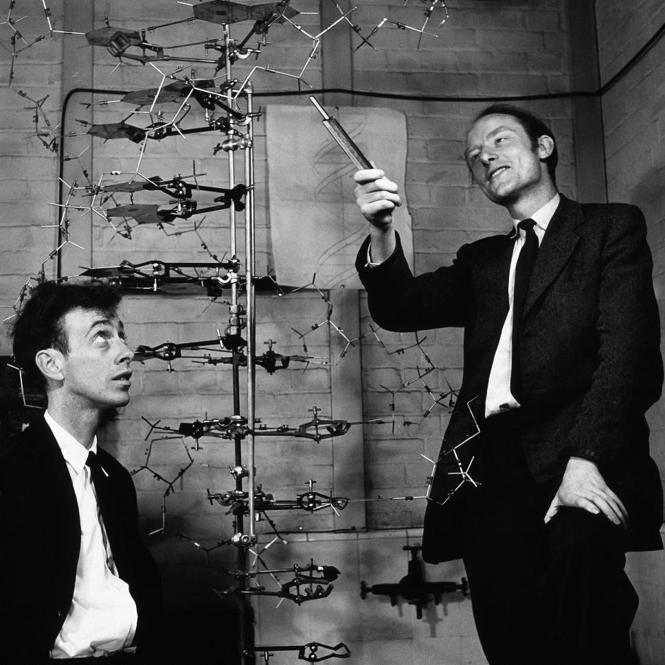 DNA çift sarmal yapısı aydınlatıldı 1953 Watson ve Crick 1962
