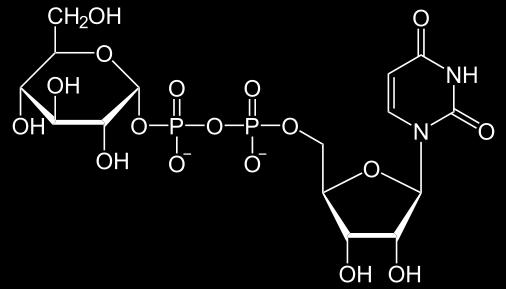 Galaktoz-1- fosfat