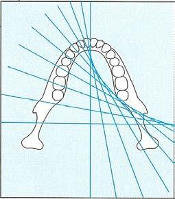 CİHAZIN MEKANİK ÜSTÜNLÜKLERİ C Kolu ile ilgili Özellikler X-ray Sensor Guide Groove (rehber oluk) Dental Arch (dental yay) Y Axis Y ekseni X Axis X ekseni Focus Spot (odak spot) C-Kol hareketi:
