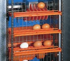Big Dutchman yumurta toplama sistemleri en yüksek gereklilikleri bile karşılamaktadır: 4 hassas yumurta taşıma sistemi; 4 yüksek güvenilirlik; 4 kolay kullanım.
