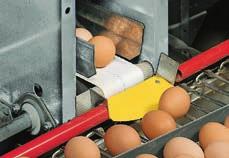 Tüm katlardaki yumurtalar toplandığında, kaldırma sistemi bekleme pozisyonuna getirilir.