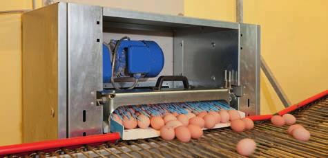 ALTERNATİF YUMURTA ÜRETİMİ İÇİN YUMURTA TOPLAMA SİSTEMLERİ Alternatif yumurta üretiminin yanı sıra, tek veya çift seviyeli yumurtlama folluklarının kullanıldığı broyler