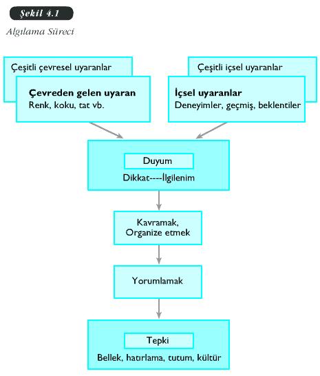 ALGILAMA