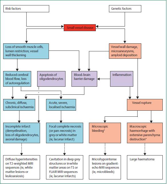 Lancet Neurol 2010; 9: 689