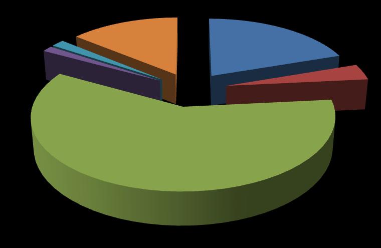 2016 YILI BÜTÇE GİDER KESİN HESABI GRAFİĞİ 1,63% 1,31% 13,65% 19,25% 3,61% 01 PERSONEL GİDERİ 02 SOS.GÜV.KURUM.DEV.PRİ.