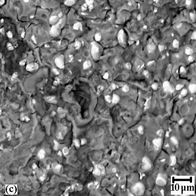 6 Adhesor çinkofosfat simanın deney öncesi SEM görüntüleri, (a) Yüzey görüntüsü (x35), (b)