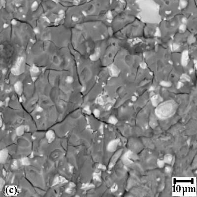23 %8 HA eklenmiş Adhesor Çinkofosfat simanın SEM görüntüleri (a) Yüzey görüntüsü