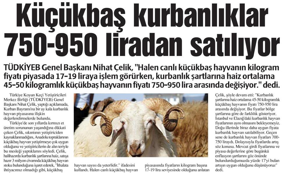 YENİ KONYA Tarih : 7.8.