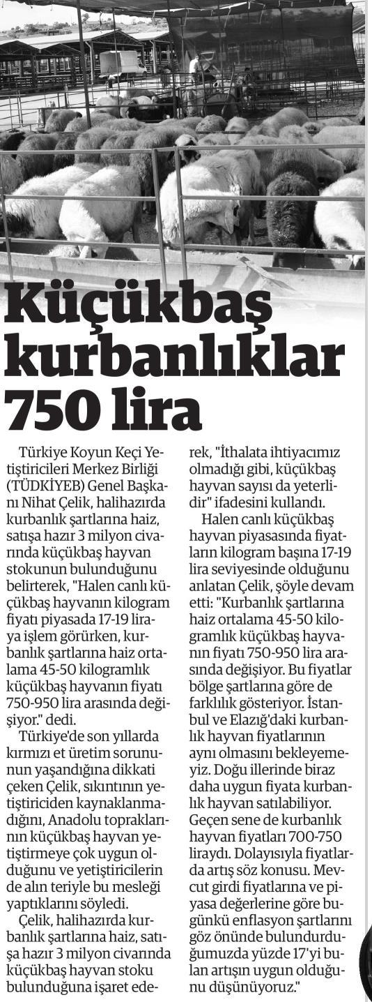 GAZETE HARBİ Tarih : 6.8.