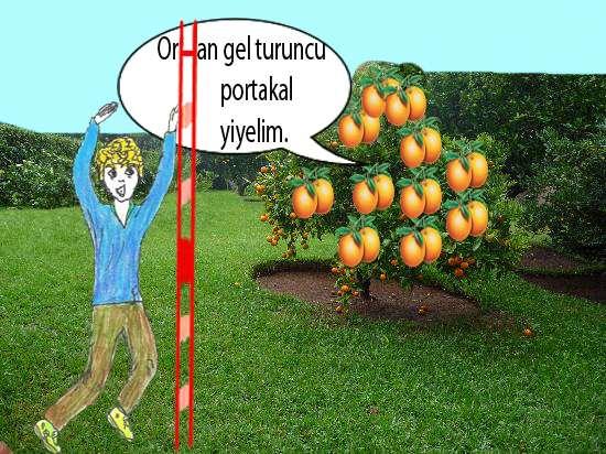 orange/or inc/ portakal (isim) Bir gün Tolga portakal ağacına çıkmış arkadaşı Orhan a sesleniyordu.