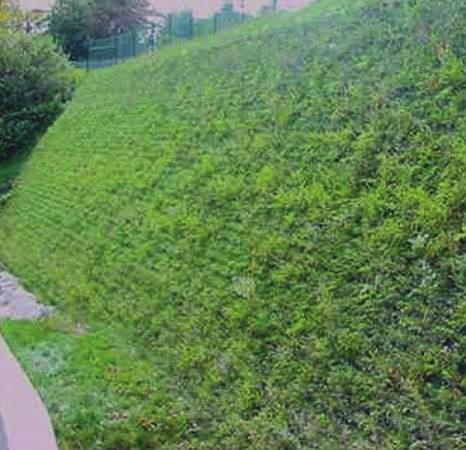 Yeşil Duvarlar Geocell sistemler üst üste balyalar şeklinde tesviye edilmiş zemine serilerek yerleştirilir.