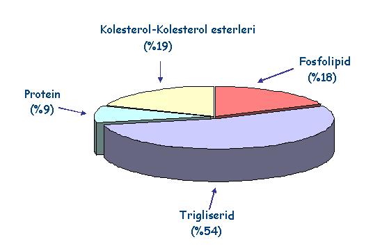 VLDL (Çok Düşük Dansiteli Lipoprotein) Endojen trigliserid bakımından oldukça zengindir. Karaciğerde sentezlenir.