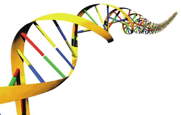5. A G S T S G I A G A T G A A S T T II G S T DNA ve Genetik Kod 8. I. Organik baz II. Gen III. Nükleotid IV. DNA V.