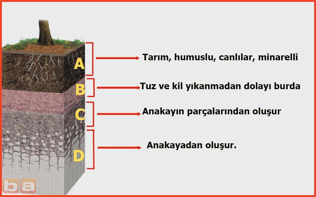 Anakaya: Kil taşı-killi, kireç taşı-kireçli toprakları