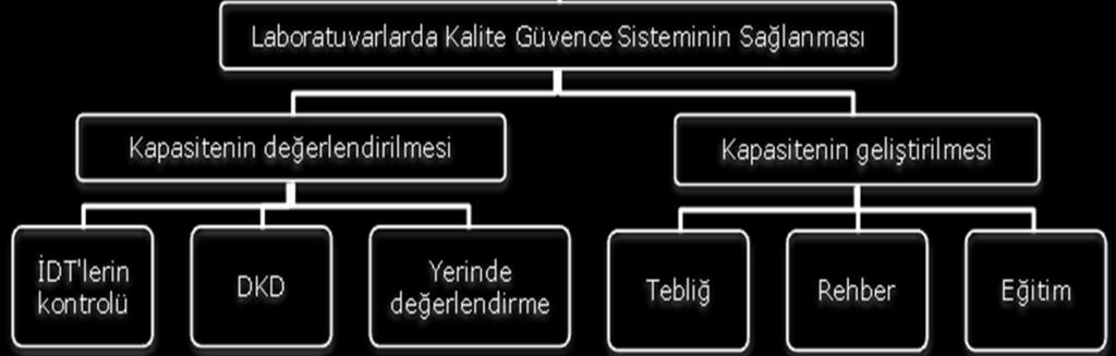 olgularının %50 sinde kültür pozitifliği Kültür pozitiflerin