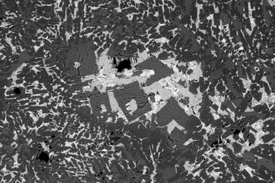 SEM-BSE, 15kV, 1mm