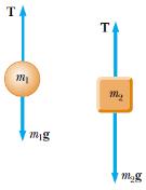 m 1 makarası için; m 2 makarası için; Denklemlerin çözümünden; y = T m 1 g = m 1.