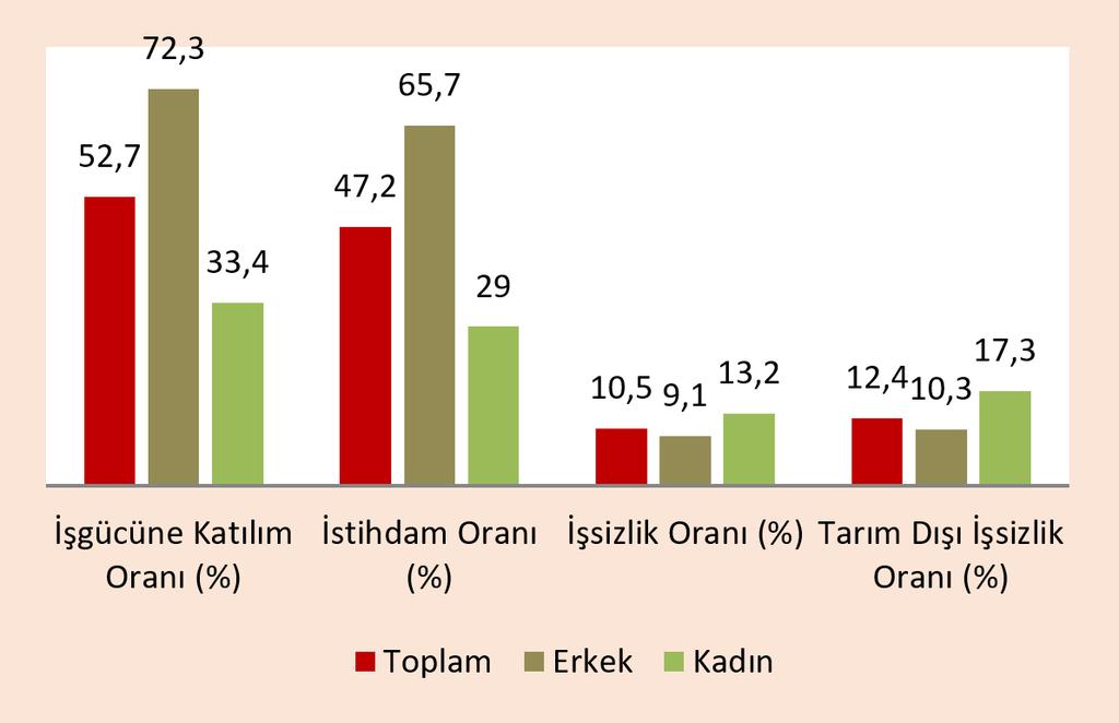 İSTİHDAM Genç İşsizlik Oranlarında Tehlike Çanları 2017 Nisan ayı Hanehalkı İşgücü İstatistikleri, Türkiye İstatistik Kurumu tarafından 17 Temmuz 2017 tarihinde açıklandı.