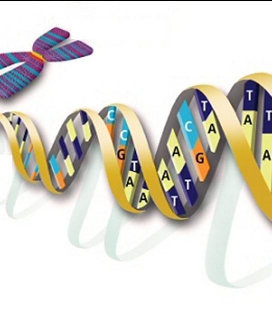 Biyoteknolojinin ve genetik