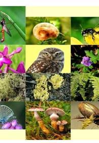 zenginliği) Ekosistem çeşitliliği(tür toplulukları