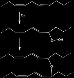 Oto-oksidatif yolla oluşan oksipolimerler, termik oksidasyon sırasında oluşan