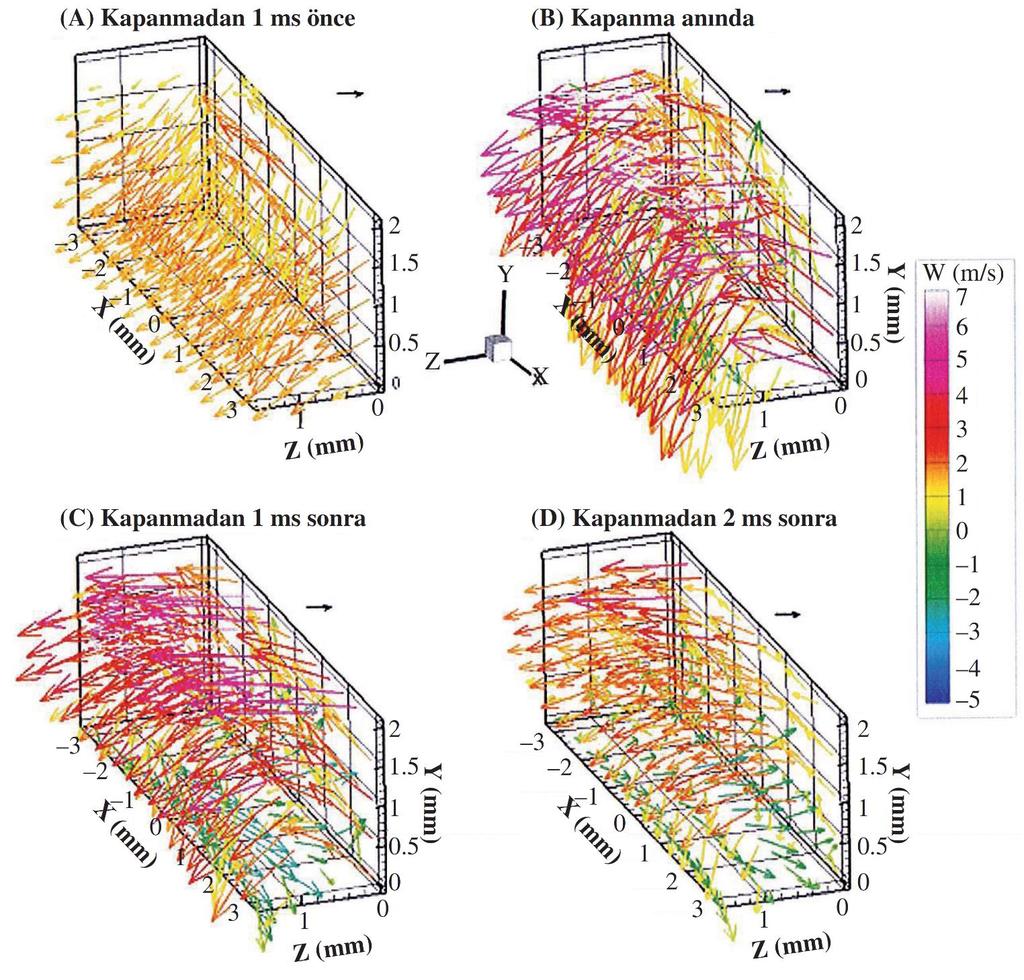 Üç-boyutlu akış yapıları. Vektörler yönü; renk ise eksenel hızın büyüklüğünü göstermektedir. Kapakçık sağdan sola doğru kapanmaktadır.