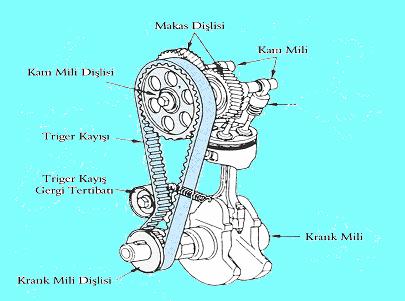 Şekil 2.2 de üstten eksantrikli bir motorun supap mekanizması görülmektedir. Kam milinin hareketi supaplara külbütör manivelaları yardımıyla iletilmektedir.