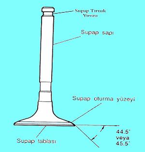 Şekil 2.6: Supabın genel yapısı Şekil 2.6 da bir supabın genel yapısı ve bölümleri görülmektedir. Supaplar, supap tablası ve supap sapı olmak üzere iki kısımdan meydana gelir.