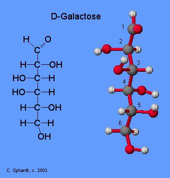 Bu monosakkaritler aynı sayıda C, H ve O atomu içerir.