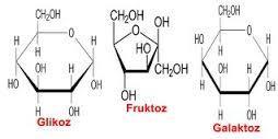 GLİKOZ: Üzüm şekeri olarak adlandırılır. Tüm canlı hücrelerde enerji elde etmek amacıyla solunumda kullanılır.