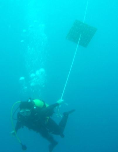 Resim 11: Kolektörlerin su altına indirilmesi ve plakanın su altındaki